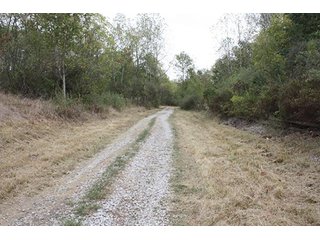 Property photo 75 - 419 +/- Acres offered in 6 Tracts, Land Auction